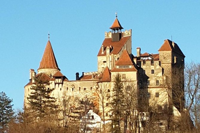 Premium Private 3-Day Best of Transylvania Tour Bucharest Hotel Pick Up/Drop Off - Day three: rescued bears and Snagov’s island monastery