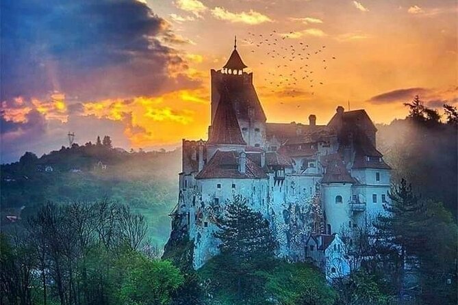Private 4-Day Tour in Transylvania including Transfagarasan Road from Bucharest - Day four: bears, Snagov, and the return to Bucharest