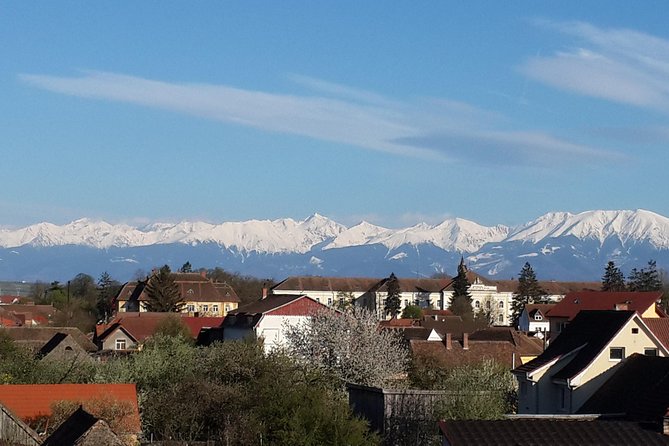 Private 5-Day Tour in Transylvania from Bucharest Hotel Pick-up and Drop off - Day two: bears, Viscri, and Sighisoara