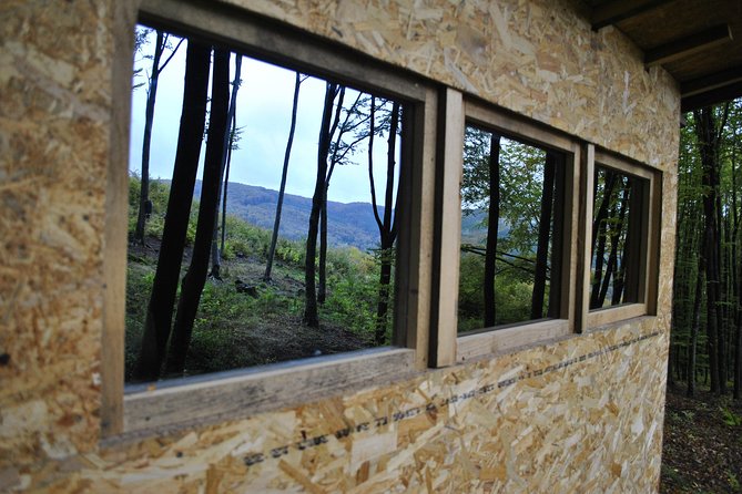 Private Brown Bear Watching Experience near Odorheiu Secuiesc - Starting near Cristuru Secuiesc