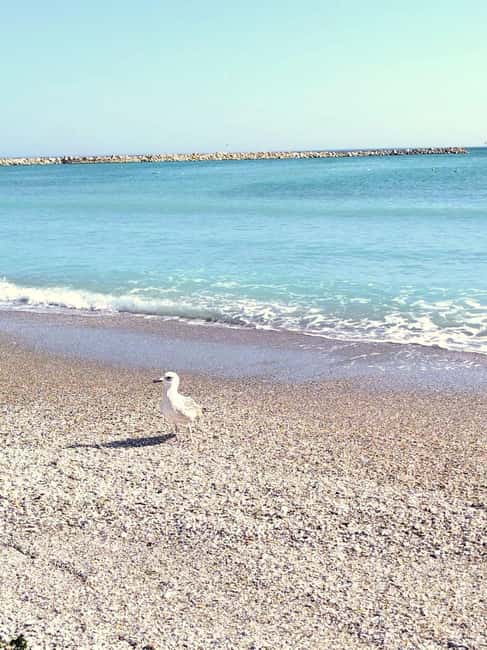 Private Bucharest Tour: Discover Constanța & Black Sea Coast - What the $171 price really buys you