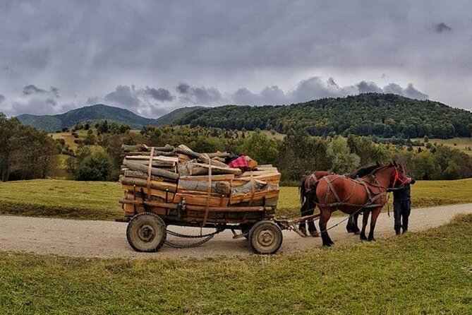 Private Day Tour to Historical Villages in Sinaia - The two-hour return to Bucharest
