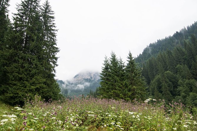 Private Daytrip Hike to Bucegi Mountains - From Bucharest to the Bucegi foothills