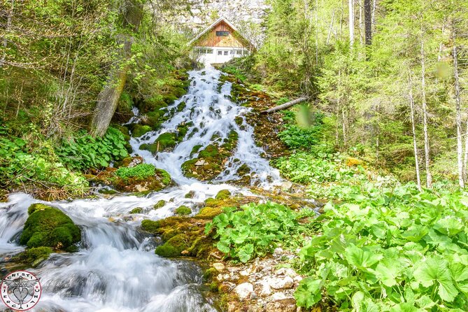 Private Daytrip Hike to Bucegi Mountains - How the private format changes the day