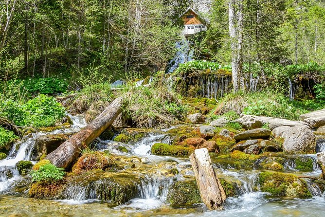 Private Daytrip Hike to Bucegi Mountains - Walking the forest toward Zănoaga Gorge