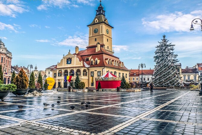Private Guided Tour of Peles Castle and Bran Castle from Bucharest - What the private format is worth