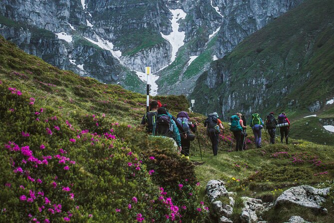 Private Hiking to Bucegi Natural Park from Brasov - Choosing between the medium and difficult hike