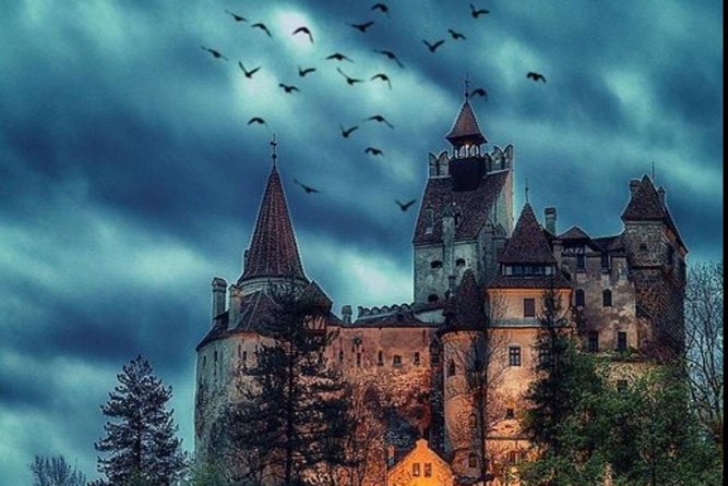 Private tour to Bran Dracula's Castle and Peleș Royal Castle - What the private setup adds