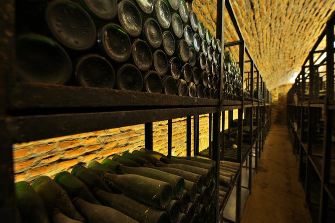 Private Walking Tour of Alba Iulia Citadel with Wine Tasting - Vinoteca HUGO: wine below the citadel