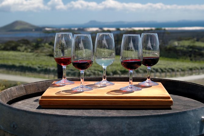 Romanian Wine Tasting - The guide can shape the whole day