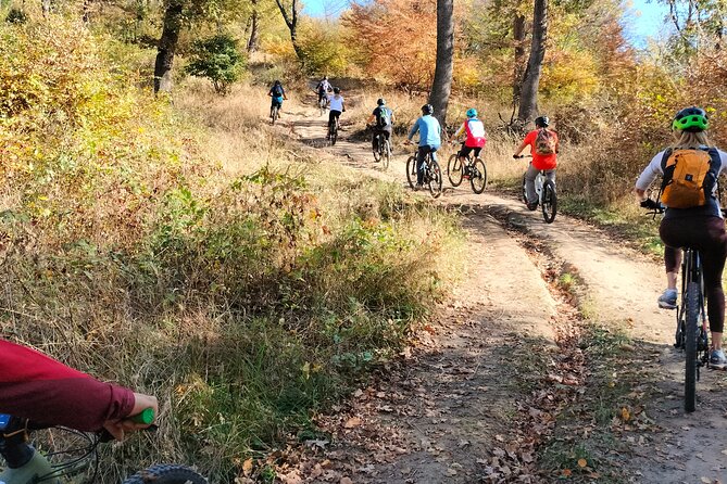 Sambata de Sus: E-Bike Guided Tours - Starting in Sâmbăta de Sus beneath the Făgăraș Mountains