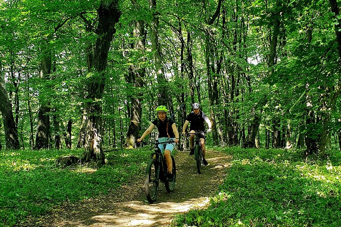Sambata de Sus: E-Bike Guided Tours - Riding through the Făgăraș Mountains