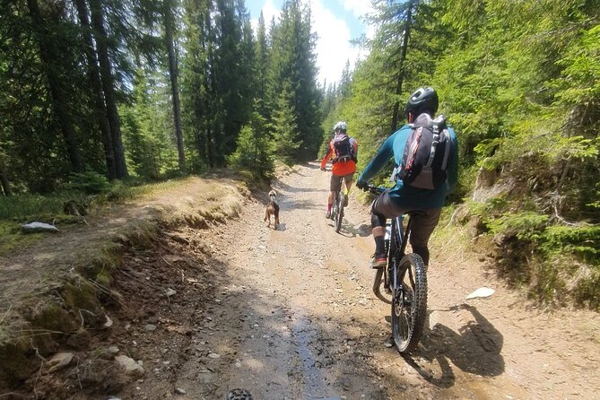 Sambata de Sus: E-Bike Guided Tours - Who will enjoy this ride most