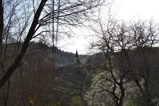 Saxon Heritage in Transylvania: Day Trip from Cluj-Napoca - The guide can shape the whole day
