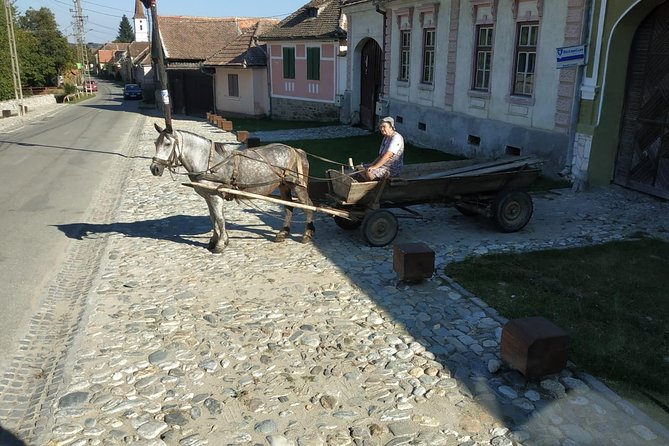 Saxon Heritage in Transylvania: Day Trip from Cluj-Napoca - Transport, group size, and the long day