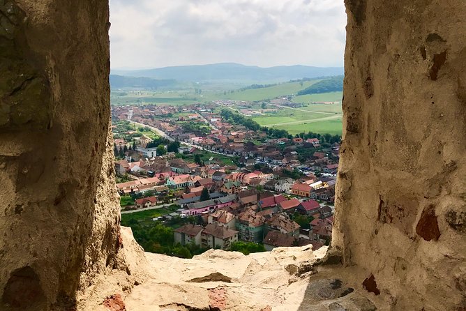 Secrets of the Citadels: Brașov, Viscri, Sighișoara and Sibiu - Who should book this day trip?