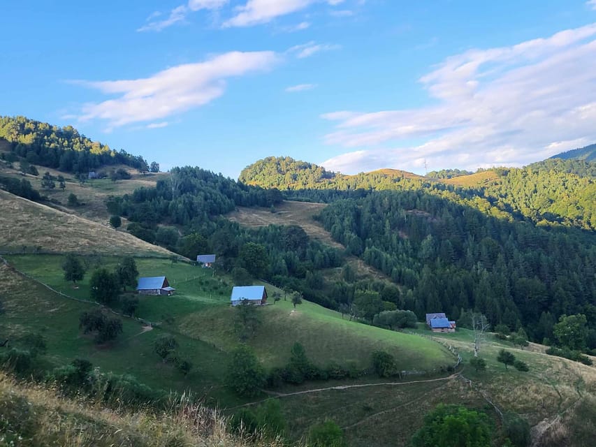 Sibiu: Cindrel Mountains Hike with Traditional Brunch - How hard is the four to five-hour hike?