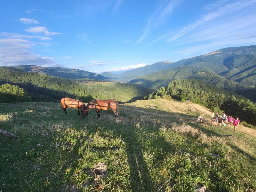 Sibiu: Cindrel Mountains Hike with Traditional Brunch - The MGS Cabin and the optional Transylvanian brunch