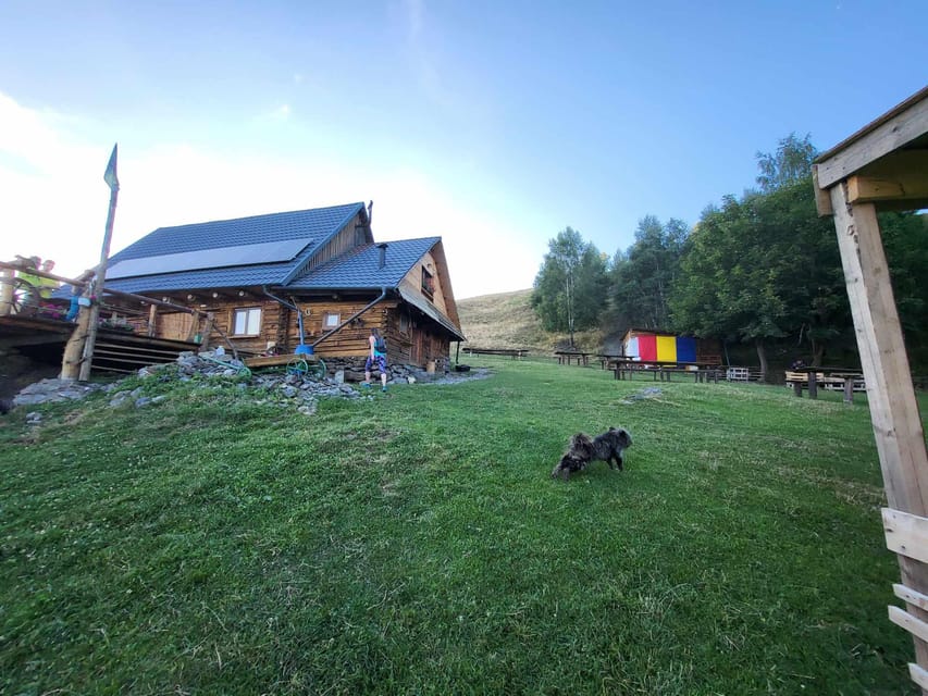 Sibiu: Cindrel Mountains Hike with Traditional Brunch - Who will enjoy this outing most?