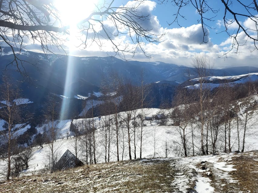 Sibiu: Cindrel Mountains Hike with Traditional Brunch - Practical details for a smoother day
