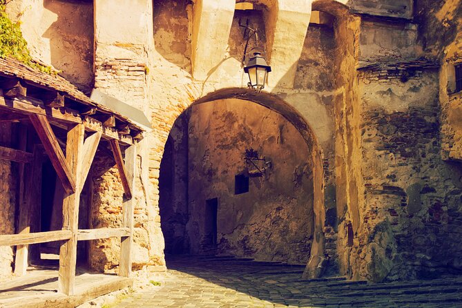 Sighisoara and Viscri Private Full-Day Tour from Brasov - Sighisoara and the citadel on the hill