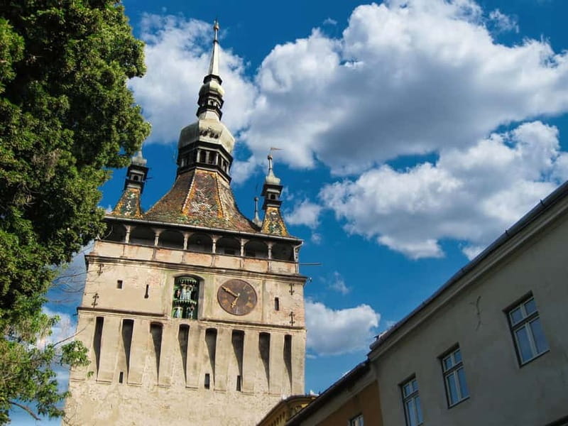 Sighisoara & wine tasting (from Cluj) - Key points at a glance