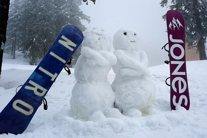 Ski & snowboard lessons on Poiana Brasov- Full Private day tour from Brasov - Returning through the Belvedere viewpoint