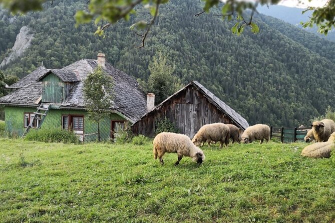 Slanic Salt Mines & Village Charms: Bucharest Day Escape - Guide style and group size