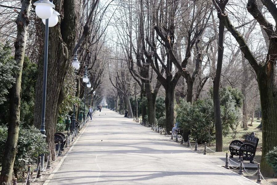 Slavery in Romania,Myths and Truths on Gypsies, Walking Tour - Starting near Romana Square