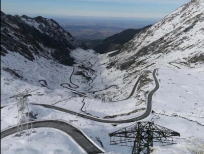 Small group Bears ‘Safari’ on Transfăgărășan -max 7 tourists