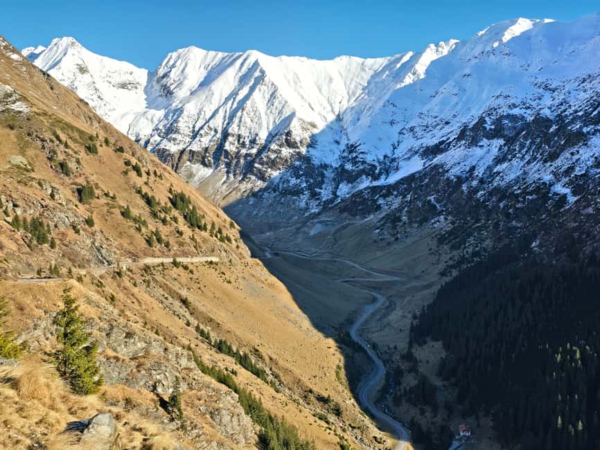 Small group Bears 'Safari' on Transfăgărășan -max 7 tourists - Bâlea Lake at 2,034 meters