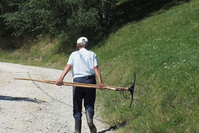 Small-Group Day Trip in Romanian Authentic Mountain Villages from Brasov - The drive from Brasov to Piatra Craiului