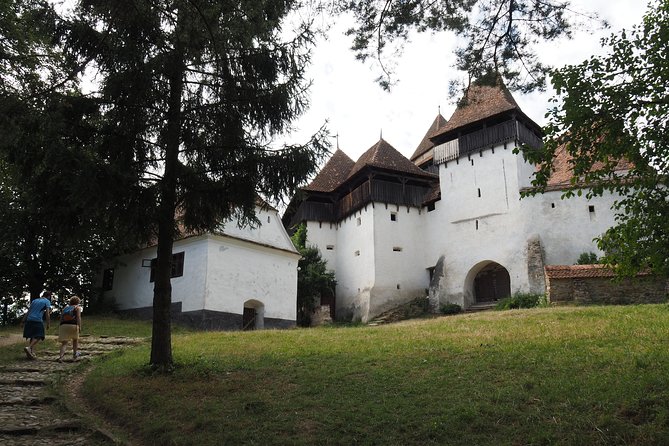 Small Group Tour to Viscri Church Sighisoara Town Rupea Fortress - Rupea Fortress on the basalt hill
