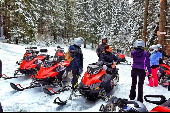 Snowmobiles, Sky Lift & Winter Sports - Private Tour - What the guide adds to the day