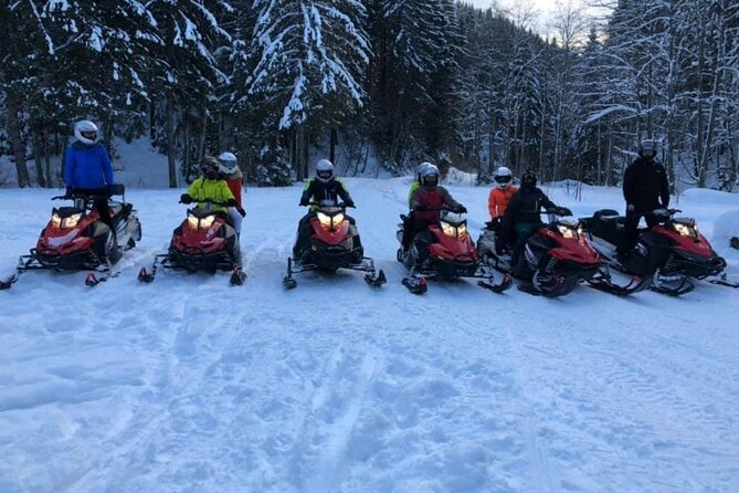 Snowmobiles, Sky Lift & Winter Sports - Private Tour - Comfort, timing, and winter planning