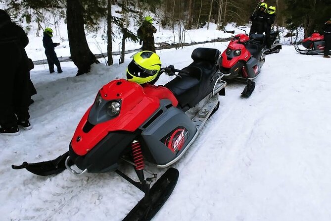 Snowmobiles, Sky Lift & Winter Sports - Private Tour - Who will enjoy this private tour most