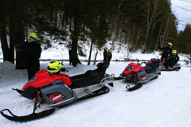 Snowmobiles, Sky Lift & Winter Sports - Private Tour - Booking advice and final verdict