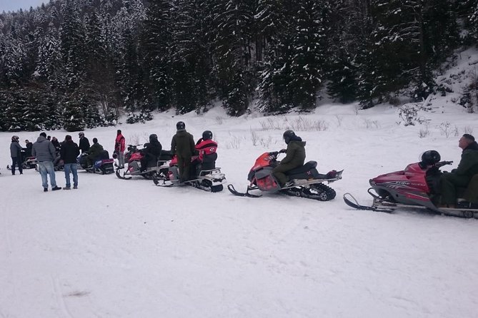 SnowMobiles Tour in Carpathian Mountains - Who will enjoy this Carpathian day trip most