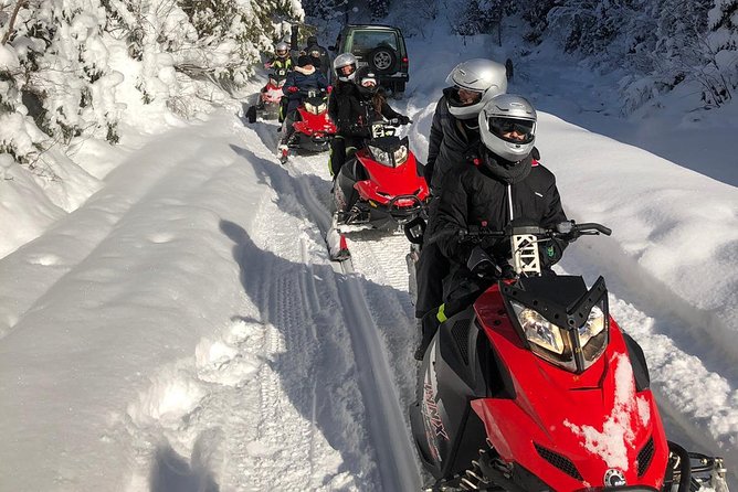 SnowMobiles Tour in Carpathian Mountains - Sinaia and the gondola option
