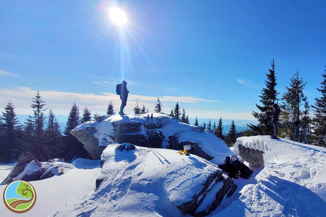 Snowshoeing Fun Tour from Cluj Napoca - Why this winter outing feels different