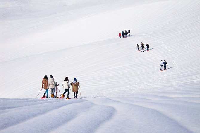 Snowshoeing Fun Tour from Cluj Napoca - More than a walk: plants, animals, and mountain geology