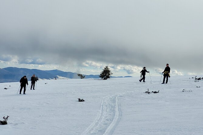 Snowshoeing Fun Tour from Cluj Napoca - How the $120.16 price works for you