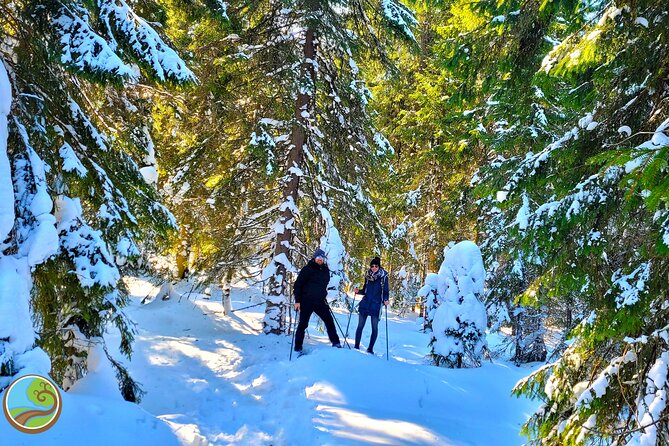 Snowshoeing Fun Tour from Cluj Napoca - Getting fitted for snowshoes and poles