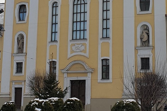 Targu Mures 3 hours walking tour - What the $53.23 group price really offers