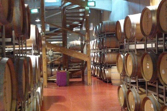 The Salt Mines, The Winery, The Muddy Volcanoes! The Fixers Private Tour - LacertA Winery brings a different pace