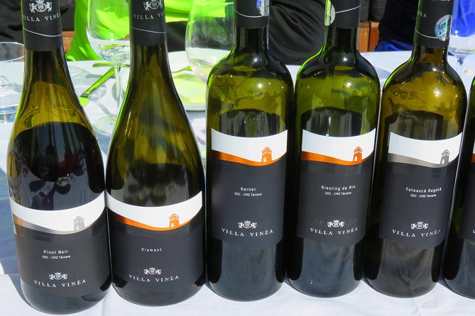 The wine route by bike - Who will enjoy this day most
