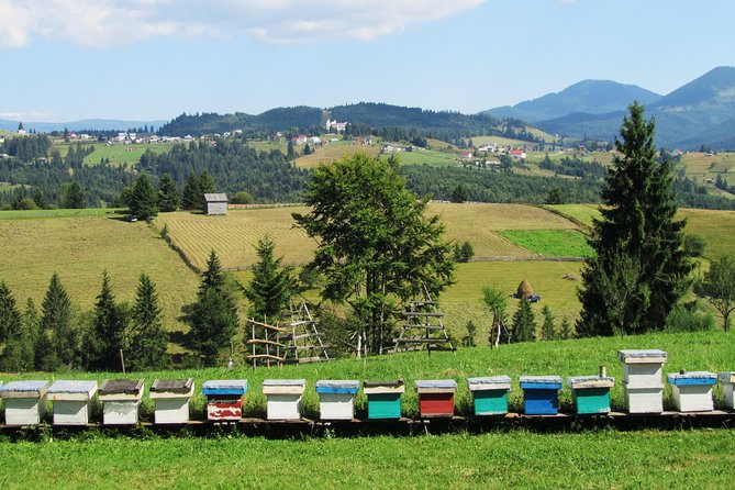 The wine route by bike - Should you book the Dealu Mare bike and wine tour?