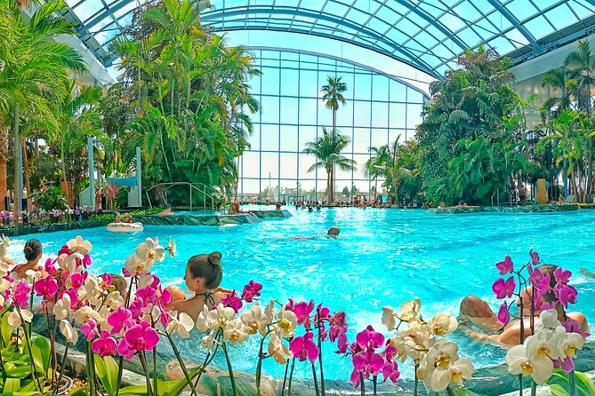 Therme Bucharest Tickets and Water Theme Park - Three zones inside one large spa