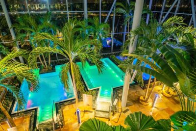 Therme Bucuresti: Entry Ticket and Transfer