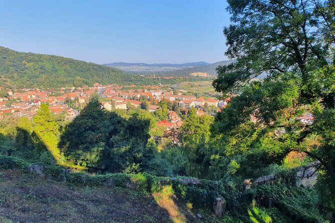 Tour of Bran CASTLE + Peles Castle + Brasov City from Bucharest - Private TOUR - Who will get the most from this day